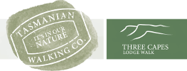 Tasmanian Walking Company logo